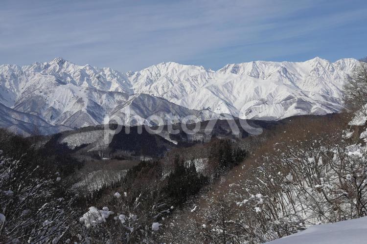 【長野県】真っ白な北アルプスの山々 長野県,信州,白馬村の写真素材