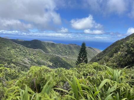 ハワイハイキング ハイキング,ハワイ,自然の写真素材