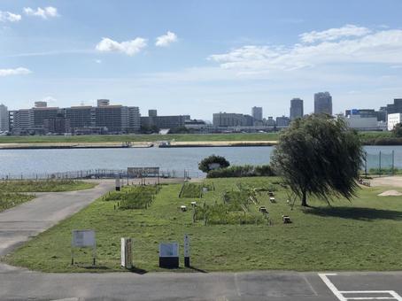 自然風景 自然風景の写真
