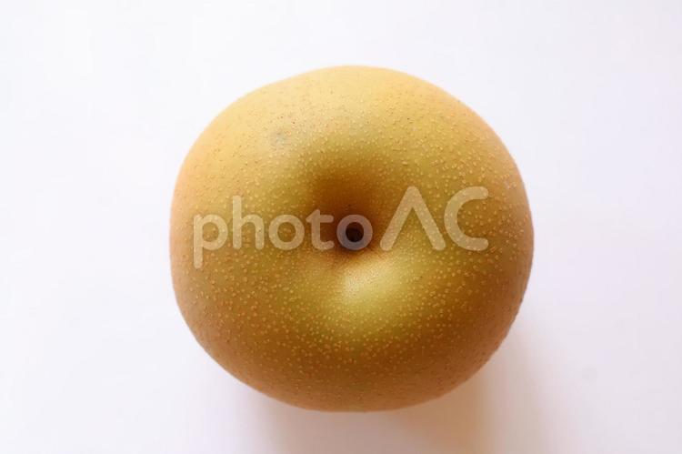 上から見た梨 梨,果物,秋の写真素材