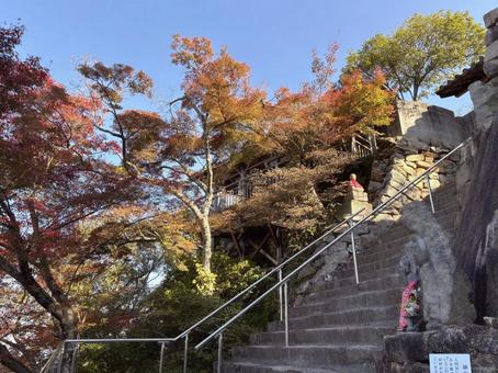 【風景写真】因島 白滝山の風景 因島,白滝山,登山道の写真素材