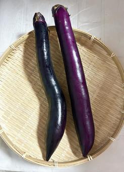 珍しいよね。長ナスをザルにのせた ナス,野菜,長ナスの写真素材