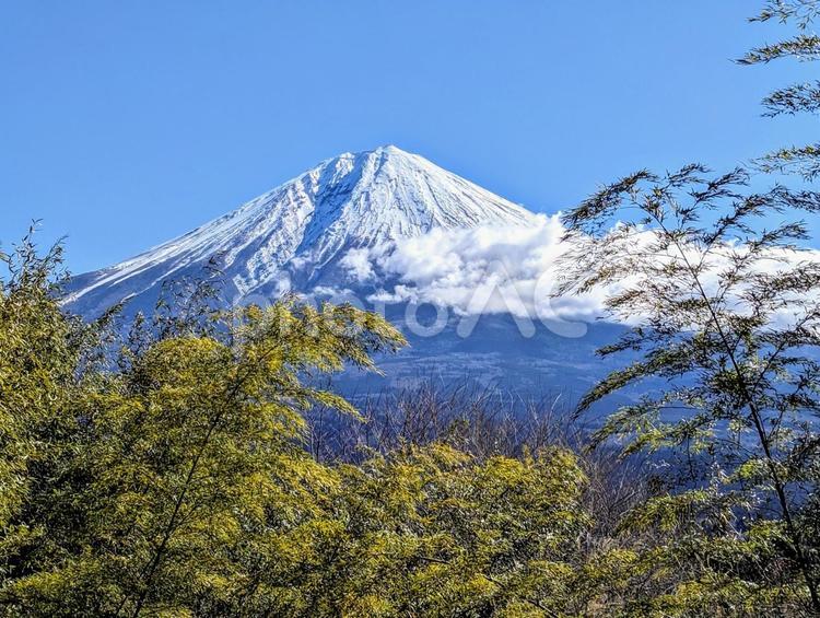 破竹越しに見る富士山 富士山,mtfuji,破竹の写真素材