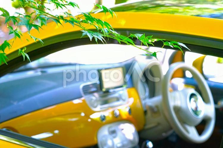 木陰のイタ車と青もみじ② 車,紅葉,木陰の写真素材