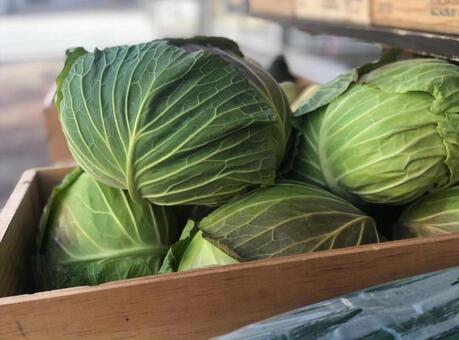 Cabbage farmer, there are not many people, cabbage, cultivate, JPG