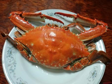 茹でたワタリガニ(ガザミ) 茹でたワタリガニ(ガザミ) ワタリガニ,ガザミ,魚介類の写真素材