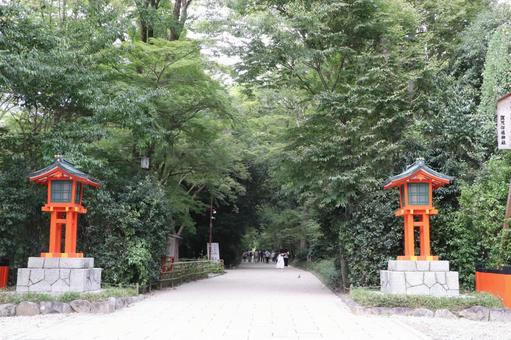 賀茂御祖神社(下鴨神社)表参道 賀茂御祖神社(下鴨神社)表参道 賀茂御祖神社,下鴨神社,表参道の写真素材