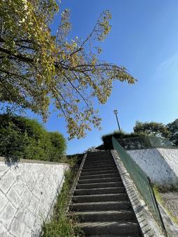 朝の公園 秋,空,高いの写真素材