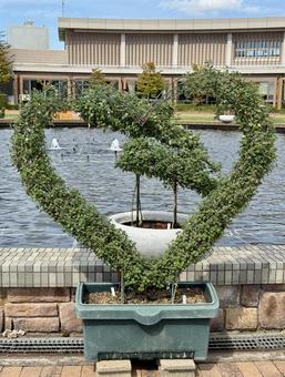 武生中央公園　噴水のそばのトピアリー 色鮮やか,菊,ガーベラの写真素材