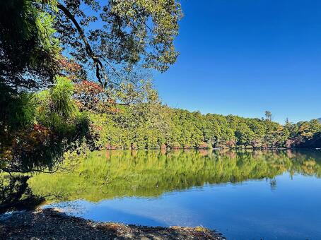 池　自然な池　秋の風景 風景,地方,奈良県吉野郡の写真素材