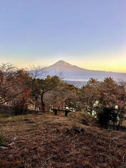 はたご池公園から見る富士山 富士山,自然,風景の写真素材
