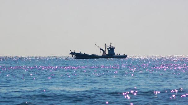 南伊豆町の海で漁をする漁船 南伊豆町の海で漁をする漁船の写真