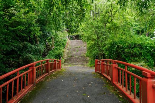 亀岡八幡宮⑴ 亀岡八幡宮⑴の写真