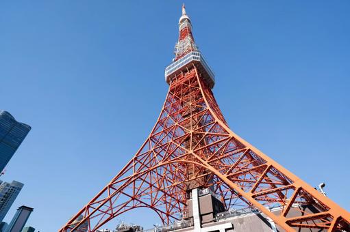 晴天の東京タワー 晴天の東京タワーの写真