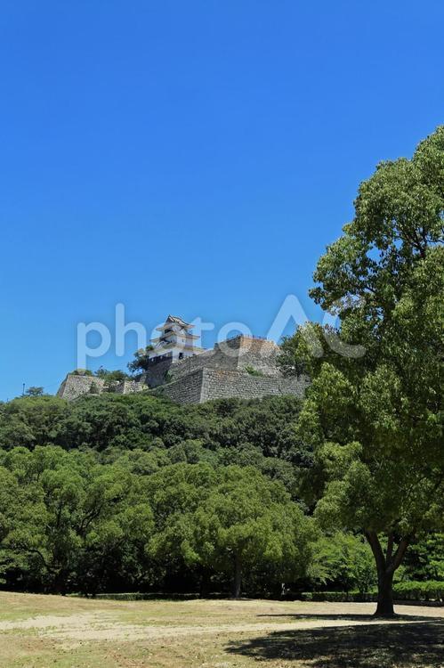 初夏の天守閣のある風景 初夏,石垣,石積の写真素材