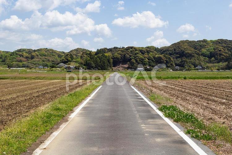 農道 農道,一本道,風景の写真素材