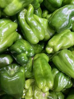 ピーマン ピーマン,甘唐辛子,トウガラシ属の写真素材