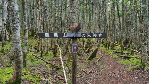 夜叉神峠と鳳凰山の標札 夜叉神峠と鳳凰山の標札の写真
