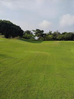 【ゴルフコース】セカンドショット地点 草,ゴルフ,アプローチの写真素材
