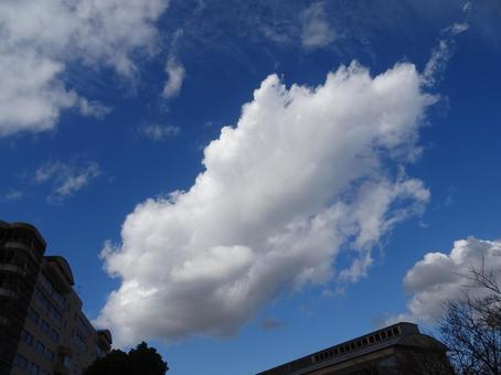 十一月の雲-5 十一月の雲-5の写真