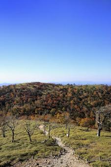 大台ケ原　秋 大台ヶ原,秋,紅葉の写真素材