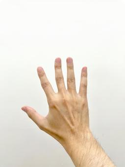 手 手 手,ハンド,手のひらの写真素材