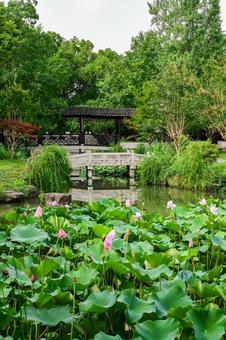 Photo, suzhou, tiger hill, tower, 