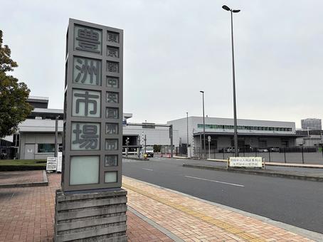 東京都中央卸売市場(豊洲市場) 東京都中央卸売市場(豊洲市場) 豊洲市場,東京都中央卸売市場,卸売市場の写真素材