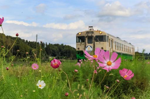 小湊鐵道 小湊鐵道の写真