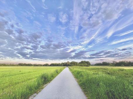 まっすぐな道 道,まっすぐ,畑の写真素材