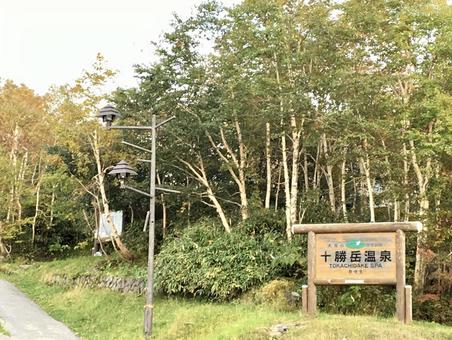 十勝岳温泉 十勝岳,大雪山,国立公園の写真素材