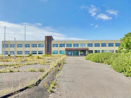 珸瑤瑁 珸瑤瑁 北海道,根室市,根室の写真素材