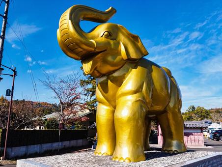 黄金色の吉ゾウくん 長福寿寺,吉ゾウくん,金運の写真素材
