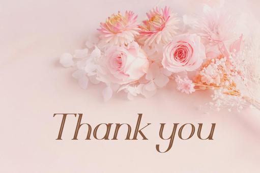 Thank you(ありがとう) Thank you(ありがとう) 花,バラ,ピンクの写真素材