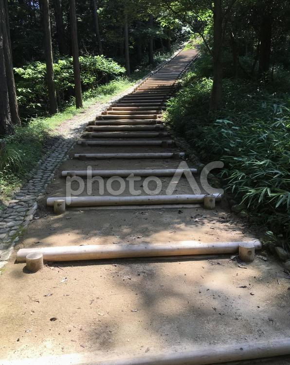 山頂までの階段 階段,自然,ハイキングの写真素材