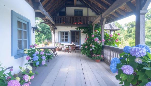 アジサイと洋式建物の玄関 アジサイと洋式建物の玄関の写真