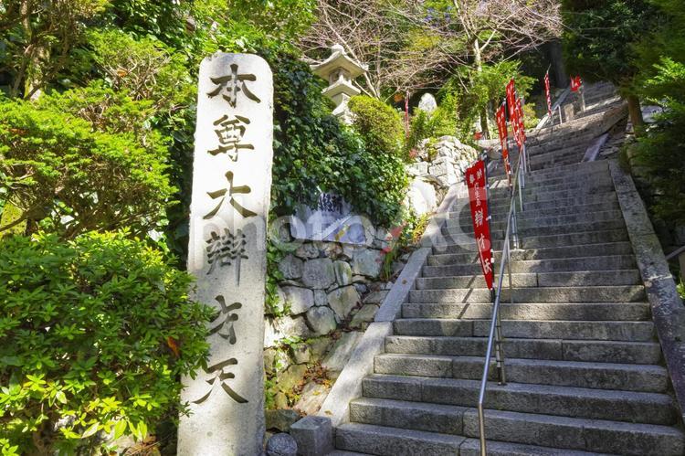 竹生島神社の祈りの石段 宝厳寺,弁財天,竹生島神社の写真素材