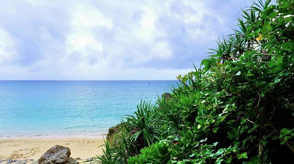 Photo, tumai beach, sea, jin jian, 