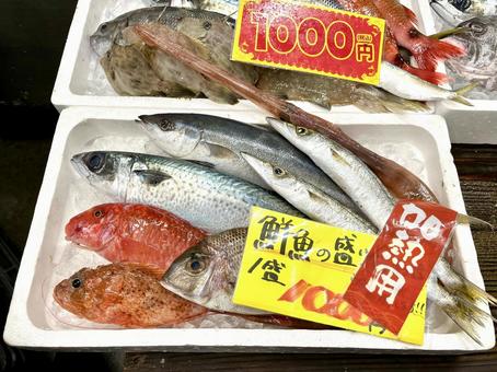 生魚の詰め合わせ 生魚の詰め合わせ 魚市場,生魚,魚の写真素材