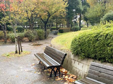 秋 雨上がりのベンチと落ち葉 秋 雨上がりのベンチと落ち葉の写真