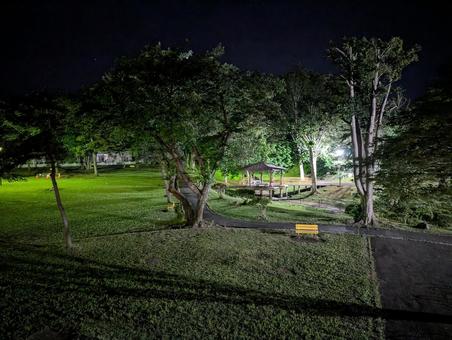 公園 公園 公園,夜の公園,空の写真素材