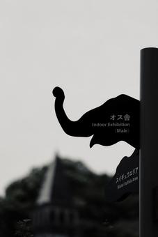 ゾウのシルエット ゾウのシルエットの写真