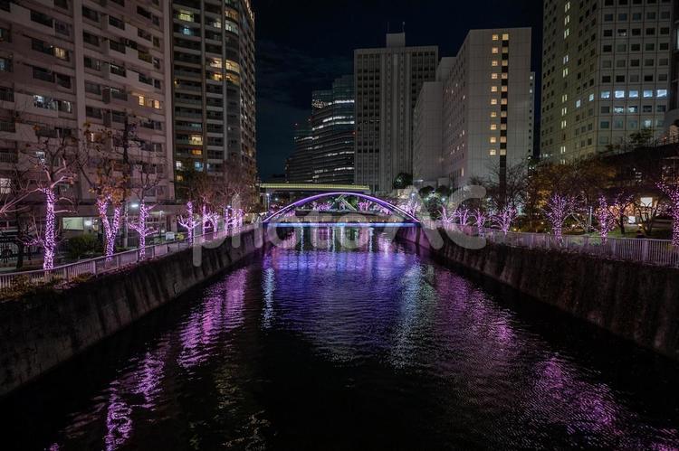 目黒川周辺散歩 目黒川,散歩,夜景の写真素材