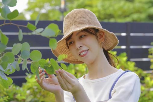 笑顔で庭の植物を手入れする女性 笑顔で庭の植物を手入れする女性 ガーデニング,園芸,庭づくりの写真素材
