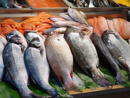 魚市場 魚市場の写真