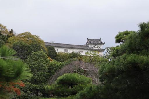 姫路城 日本庭園,鯉,秋の写真素材