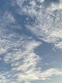 秋の空と雲 秋の空と雲 秋の雲,秋の空,雲の写真素材