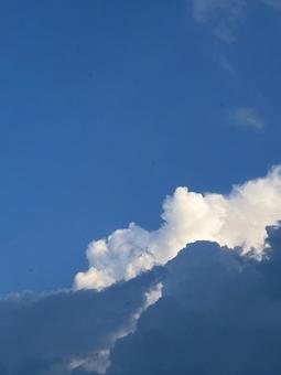 夏の雲 夏の雲の写真