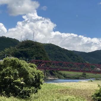 赤い橋と木の写真