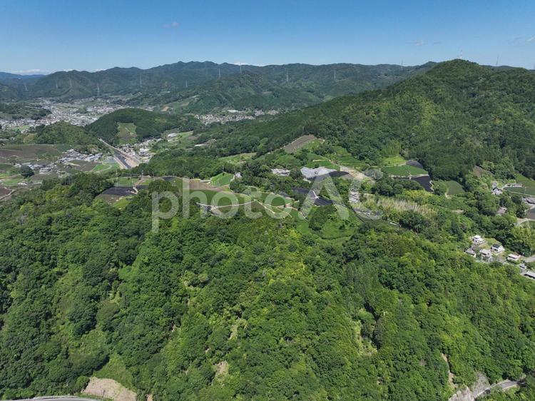 和束の茶畑ggg 山,風景,背景の写真素材